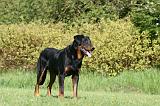 BEAUCERON 967